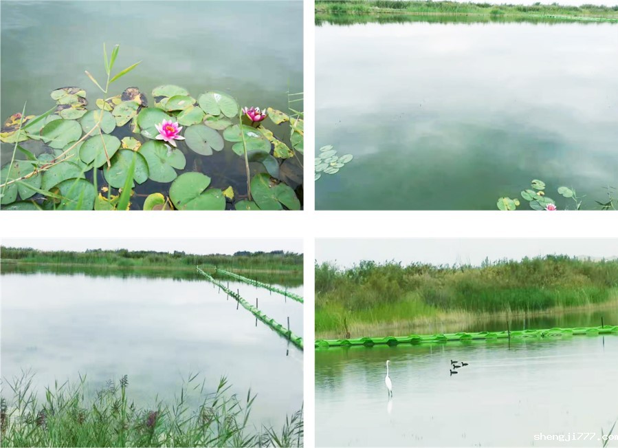 库布其大道图湖治理效果