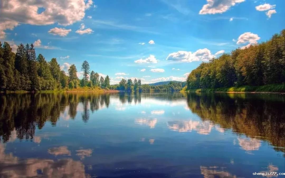 2021年广东省政府工作报告,生态环境保护内容