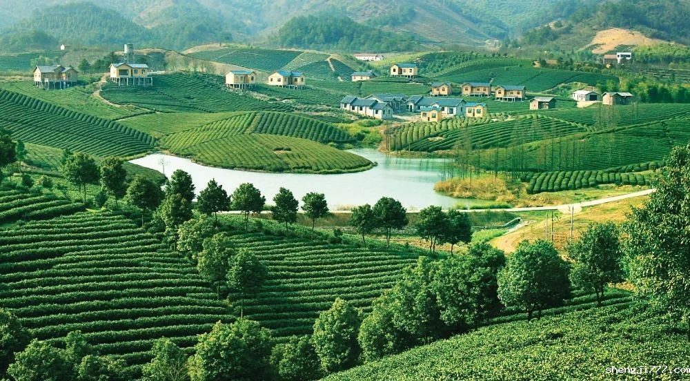 系统保护稳定生态